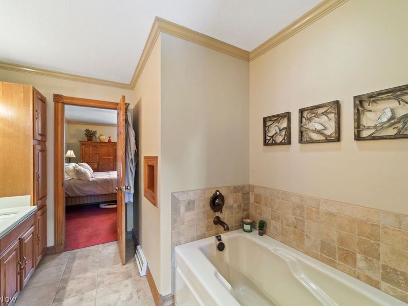 48252 Tina Lane, Amherst, OH 44001 Photo 34