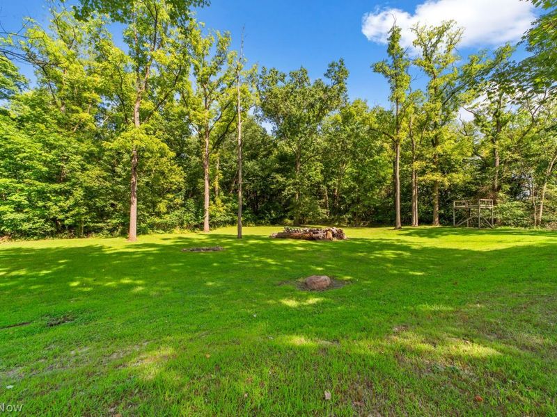 48252 Tina Lane, Amherst, OH 44001 Photo 46