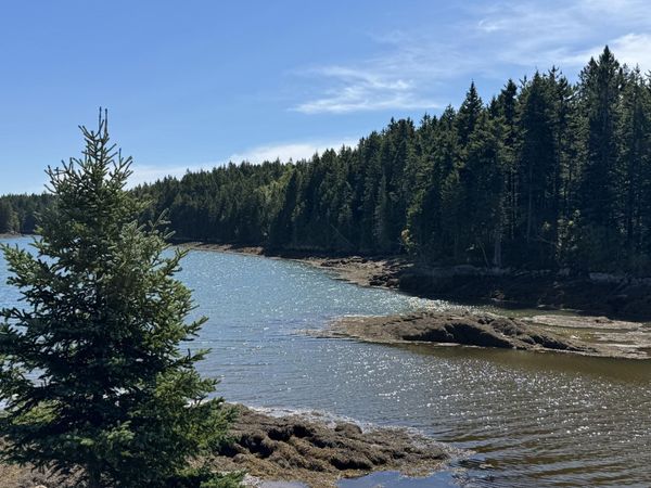 Lot 102.1 Dixie Road , Trescott Twp, ME 04652
