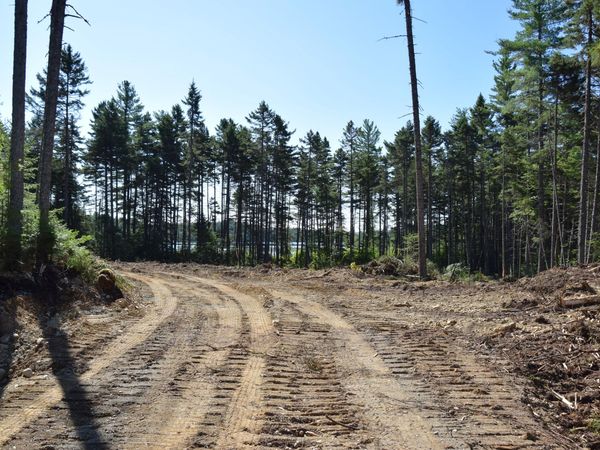 MS03l17.3 Middle Carry Pond Road , Carrying Place Twp, ME 04961