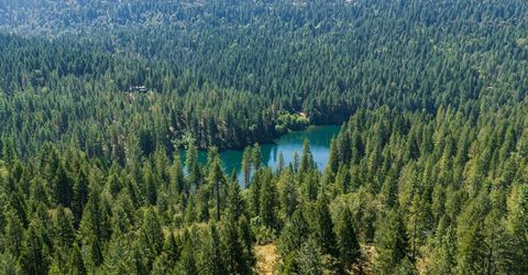10973 Scotts Flat Dam Rd, Nevada City, CA 95959 Photo
