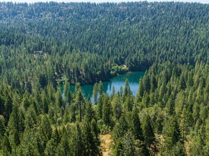 10973 Scotts Flat Dam Rd, Nevada City, CA 95959 Photo