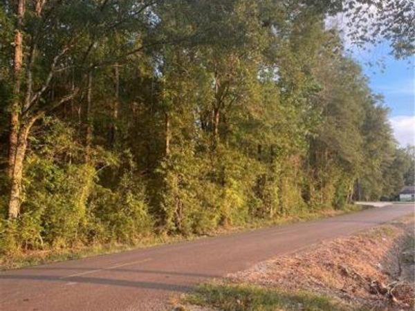 00 SHRINERS Drive , Bogalusa, LA 70427