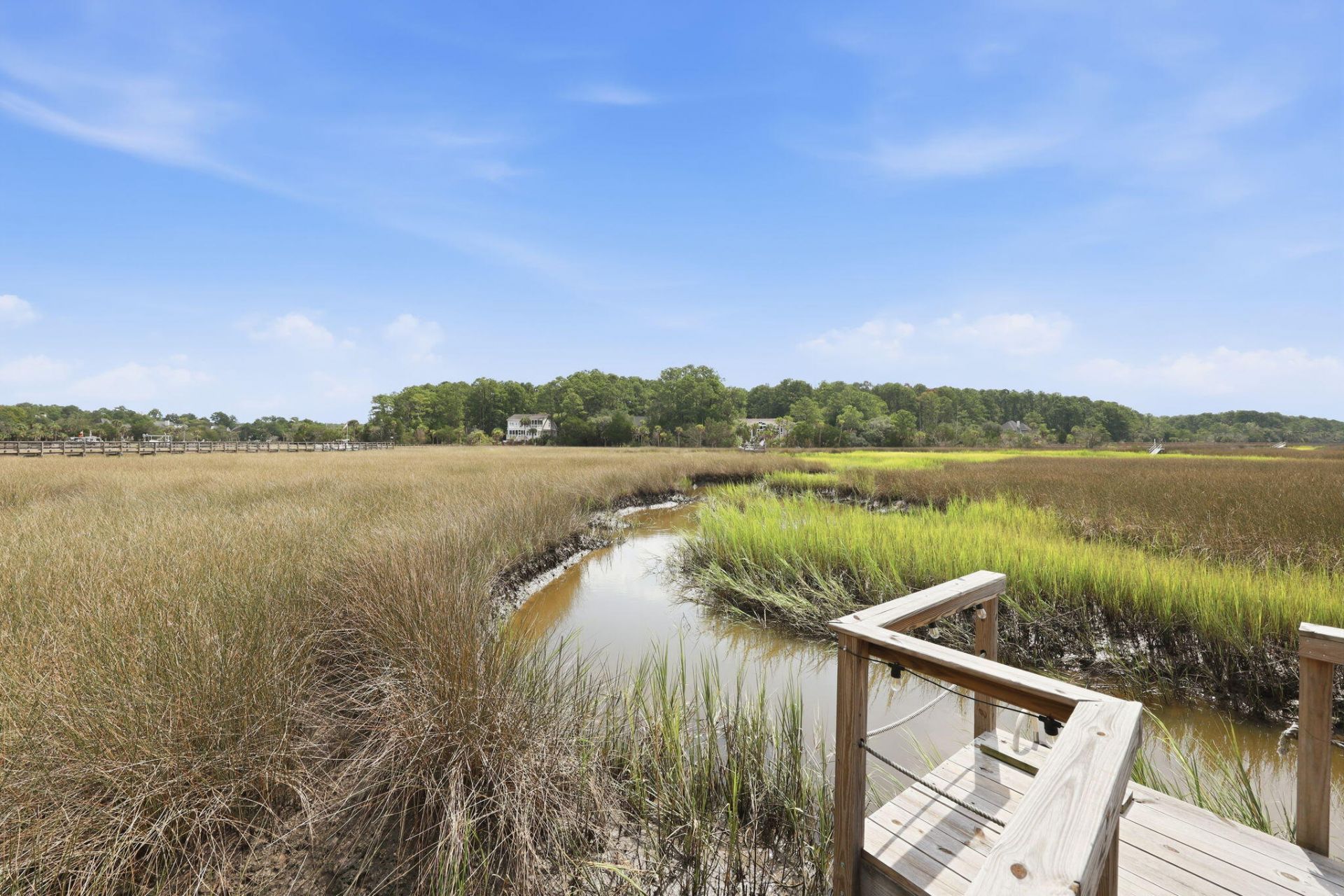 1929 Dunes Mill Way Photo 26