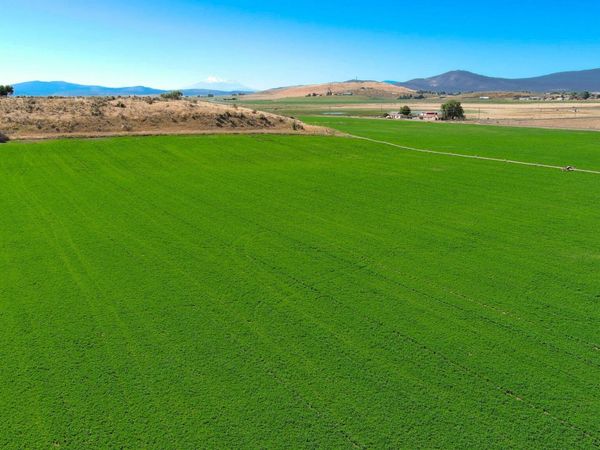 392 Del Fatti Lane, Klamath Falls, OR 97603