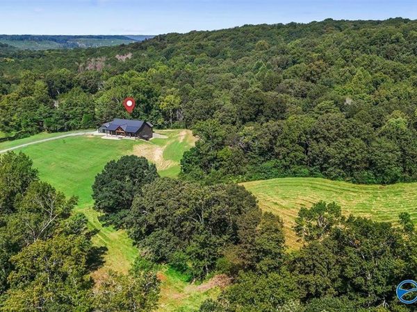 1128 Double S Mountain Road, Baileyton, AL 35019