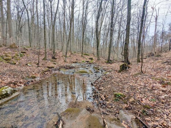 689 Burris Road, Bruceton Mills, WV 26525