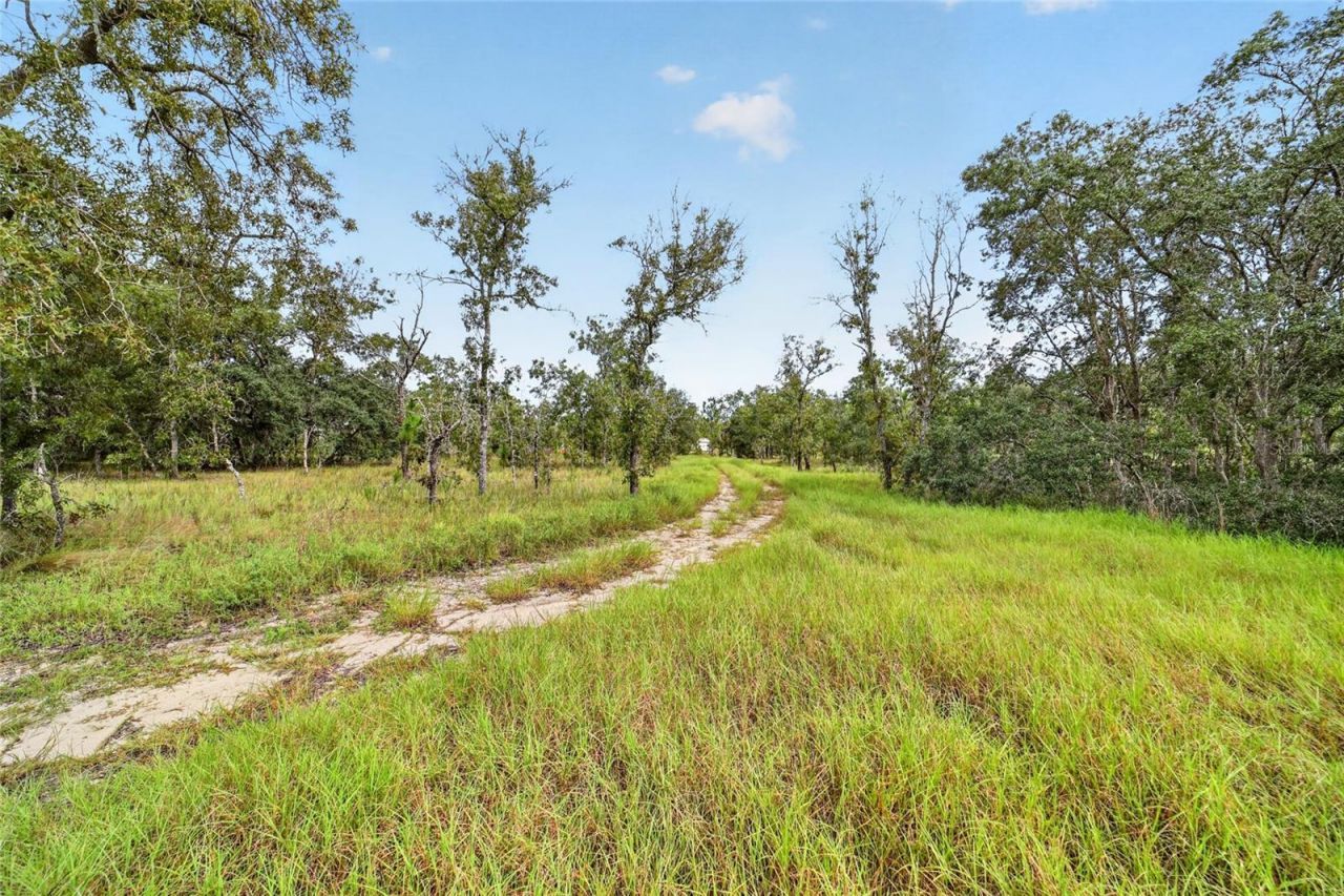 13291 SE 101st Place, Dunnellon, FL 34431 Photo