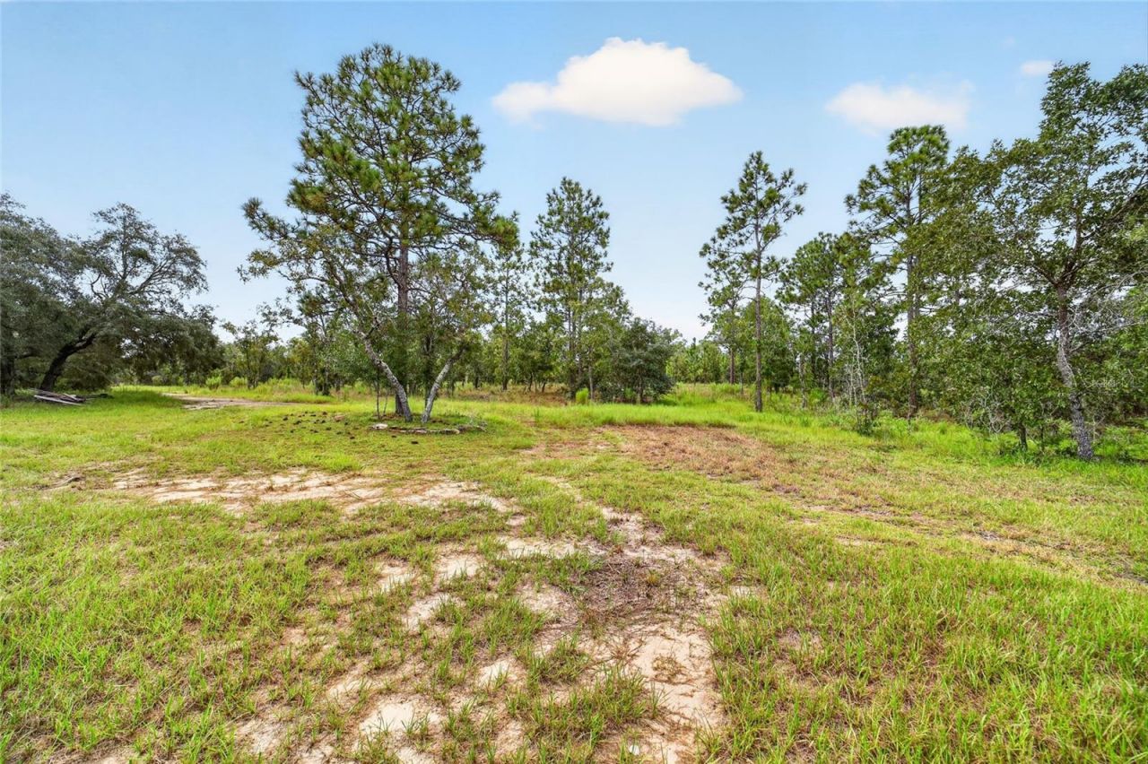 13291 SE 101st Place, Dunnellon, FL 34431 Photo