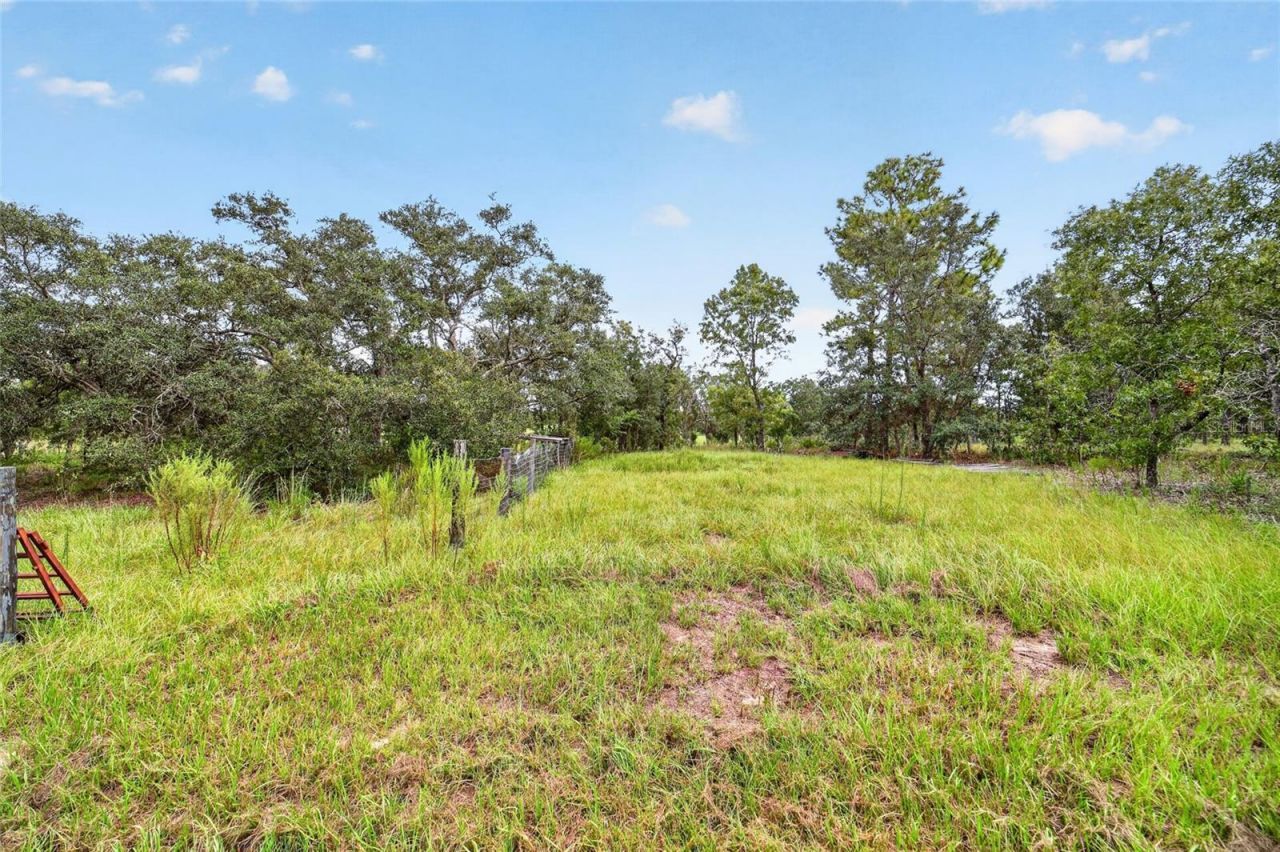 13291 SE 101st Place, Dunnellon, FL 34431 Photo