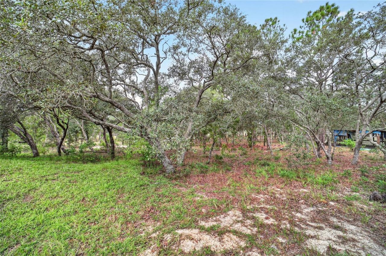 13291 SE 101st Place, Dunnellon, FL 34431 Photo