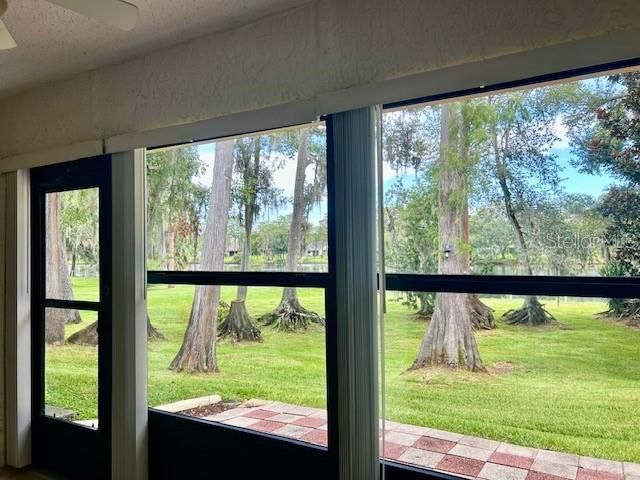 2529 Oakleaf Lane , Unit 30C, Clearwater, FL 33763 Photo