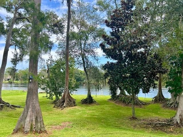 2529 Oakleaf Lane , Unit 30C, Clearwater, FL 33763 Photo