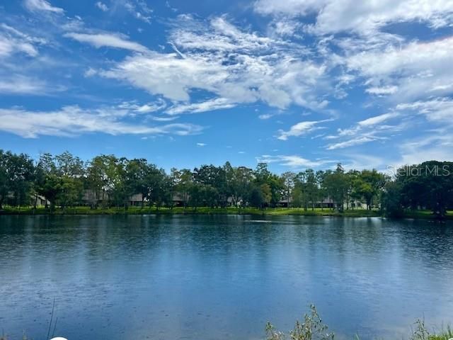 2529 Oakleaf Lane , Unit 30C, Clearwater, FL 33763 Photo