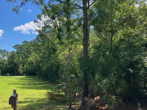 0 Guava Drive, Port Orange, FL 32128