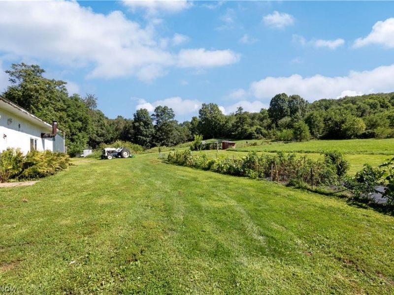 944 Mill Road, Loudonville, OH 44842 Photo 24
