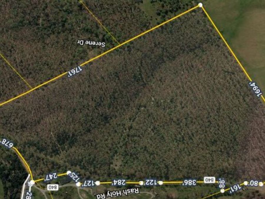 Property Image 4