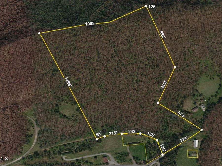 Property Image 6