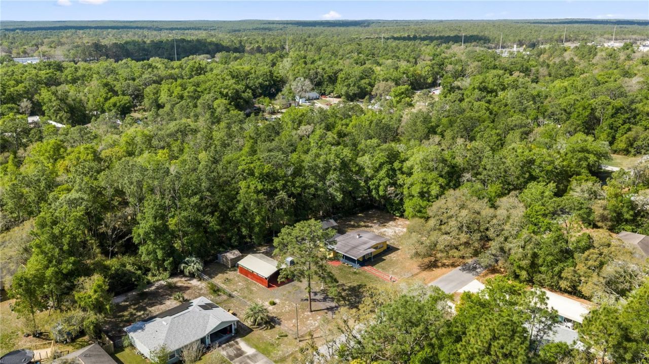 3290 E Griffin Street, Inverness, FL 34453 Photo