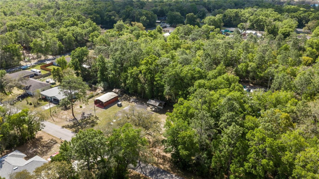 3290 E Griffin Street, Inverness, FL 34453 Photo