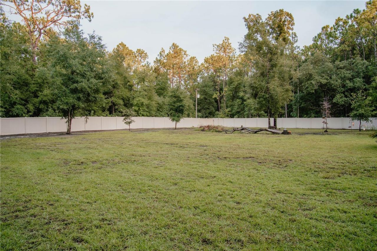12009 S Daffodil Point , Floral City, FL 34436 Photo