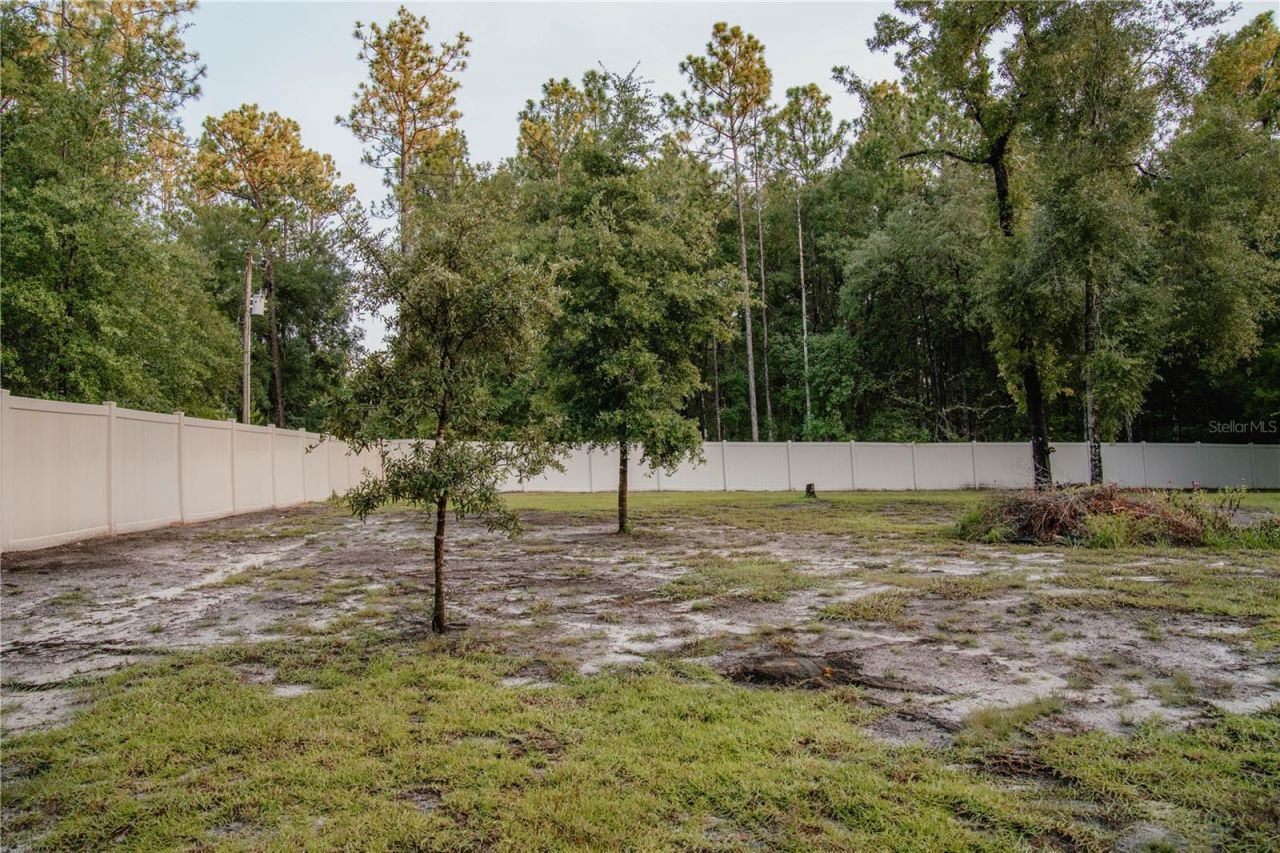 12009 S Daffodil Point , Floral City, FL 34436 Photo
