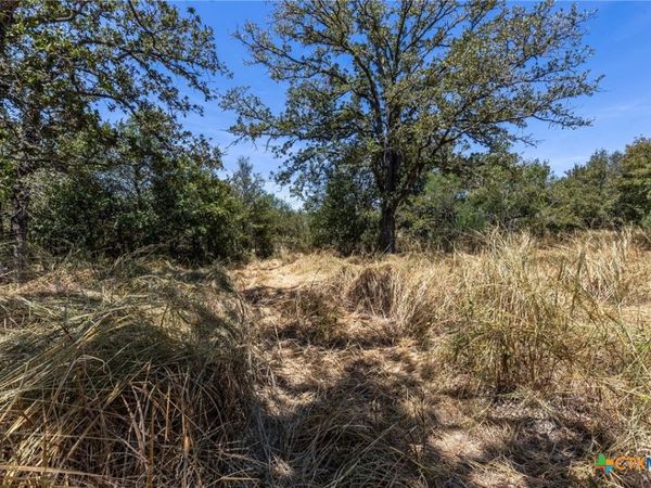 10 Gander Sloough , Kingsbury, TX 78638