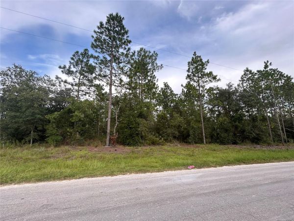 TBD NE 150TH AVENUE , WILLISTON, FL 32696
