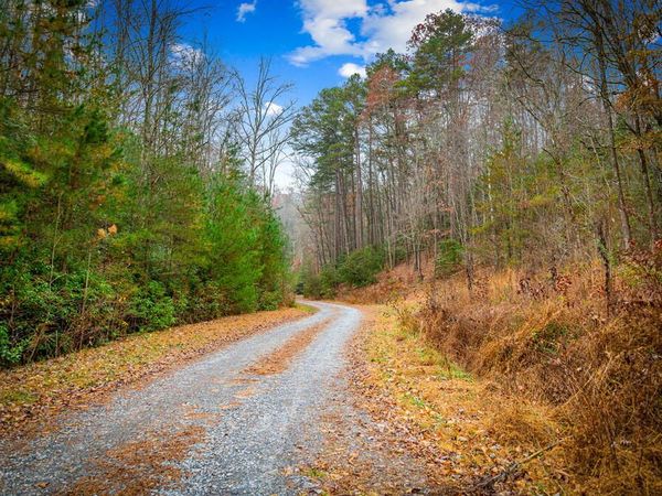 5.97AC Bullen Gap Road, Blue Ridge, GA 30513