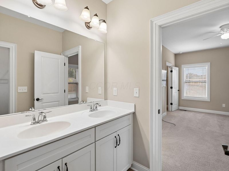 2893 Highland Woods Boulevard, New Albany, OH 43054 Photo 53