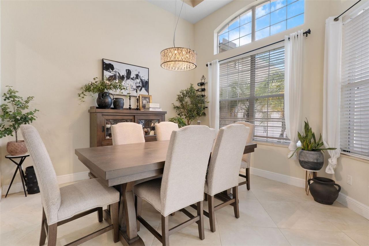 1726 Nodding Thistle Drive, New Port Richey, FL 34655 Photo