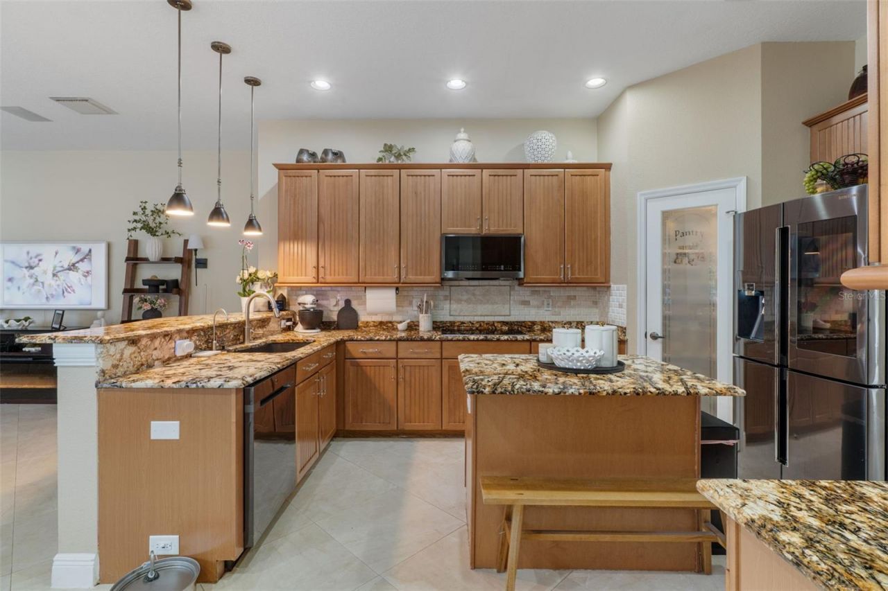 1726 Nodding Thistle Drive, New Port Richey, FL 34655 Photo