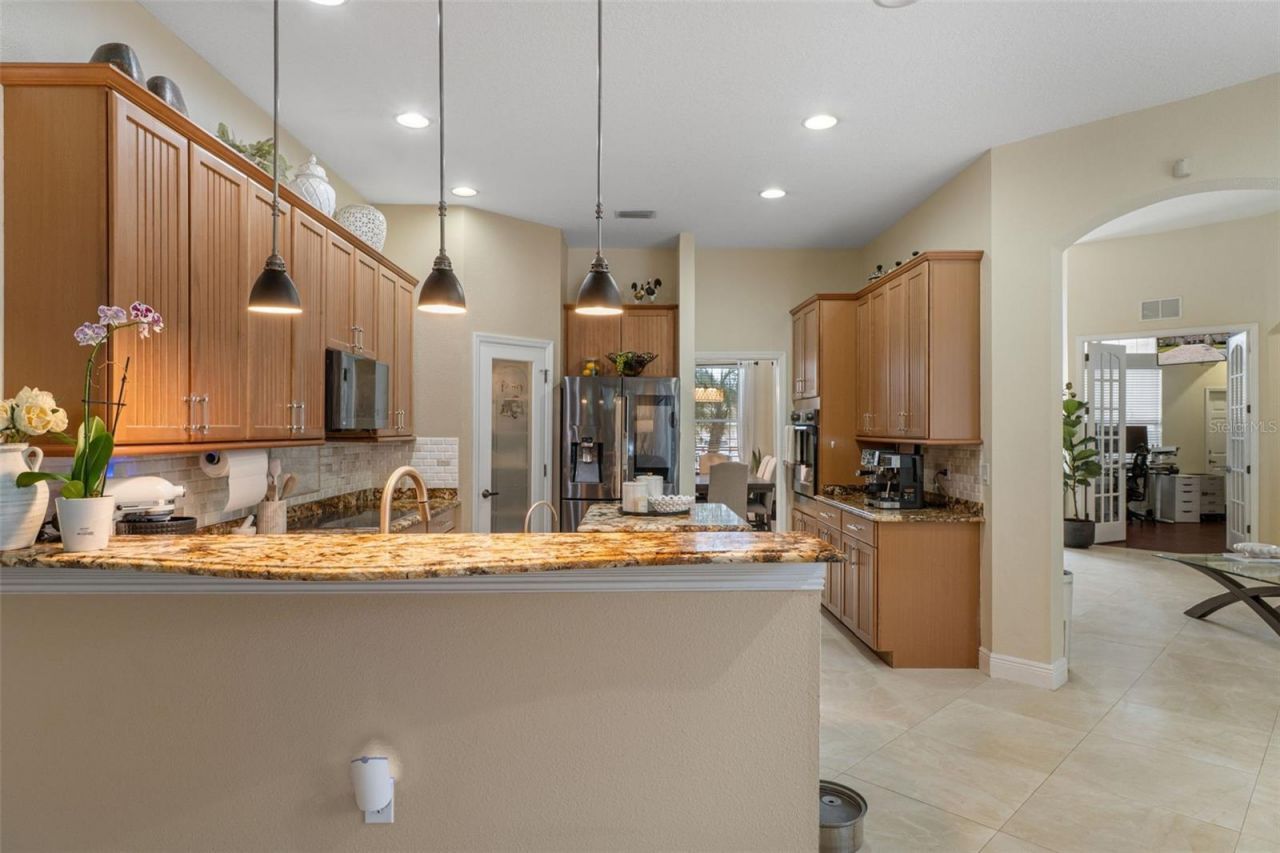1726 Nodding Thistle Drive, New Port Richey, FL 34655 Photo