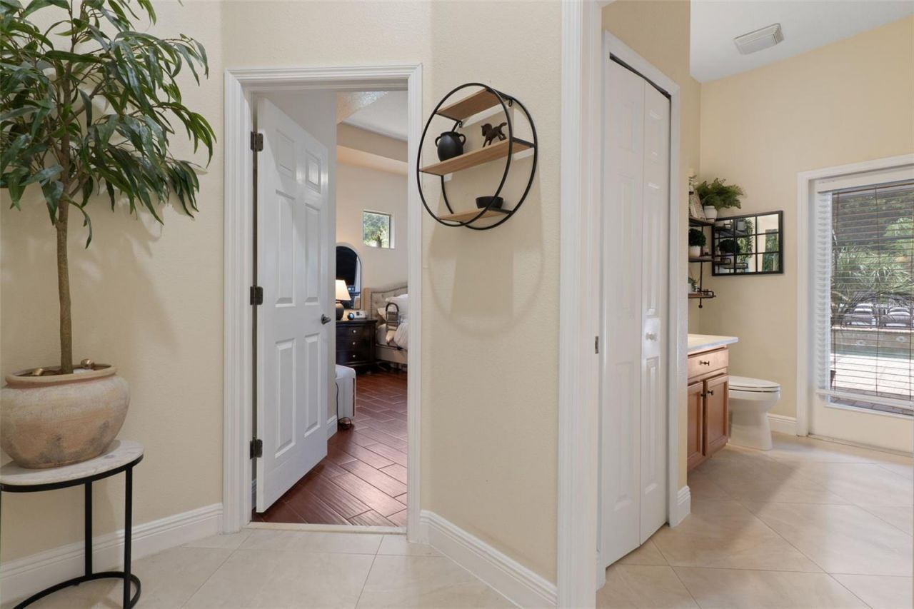 1726 Nodding Thistle Drive, New Port Richey, FL 34655 Photo