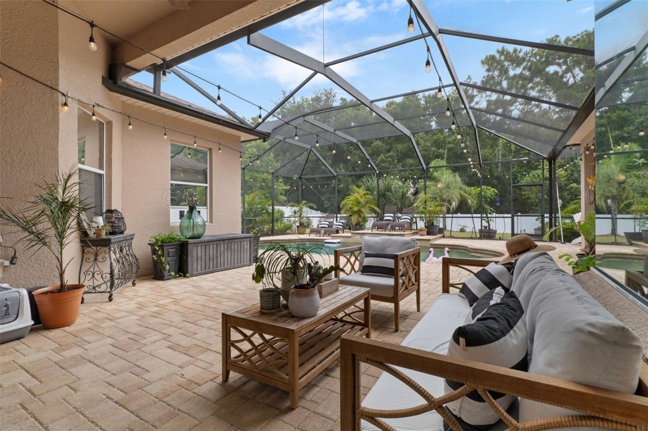 1726 Nodding Thistle Drive, New Port Richey, FL 34655 Photo