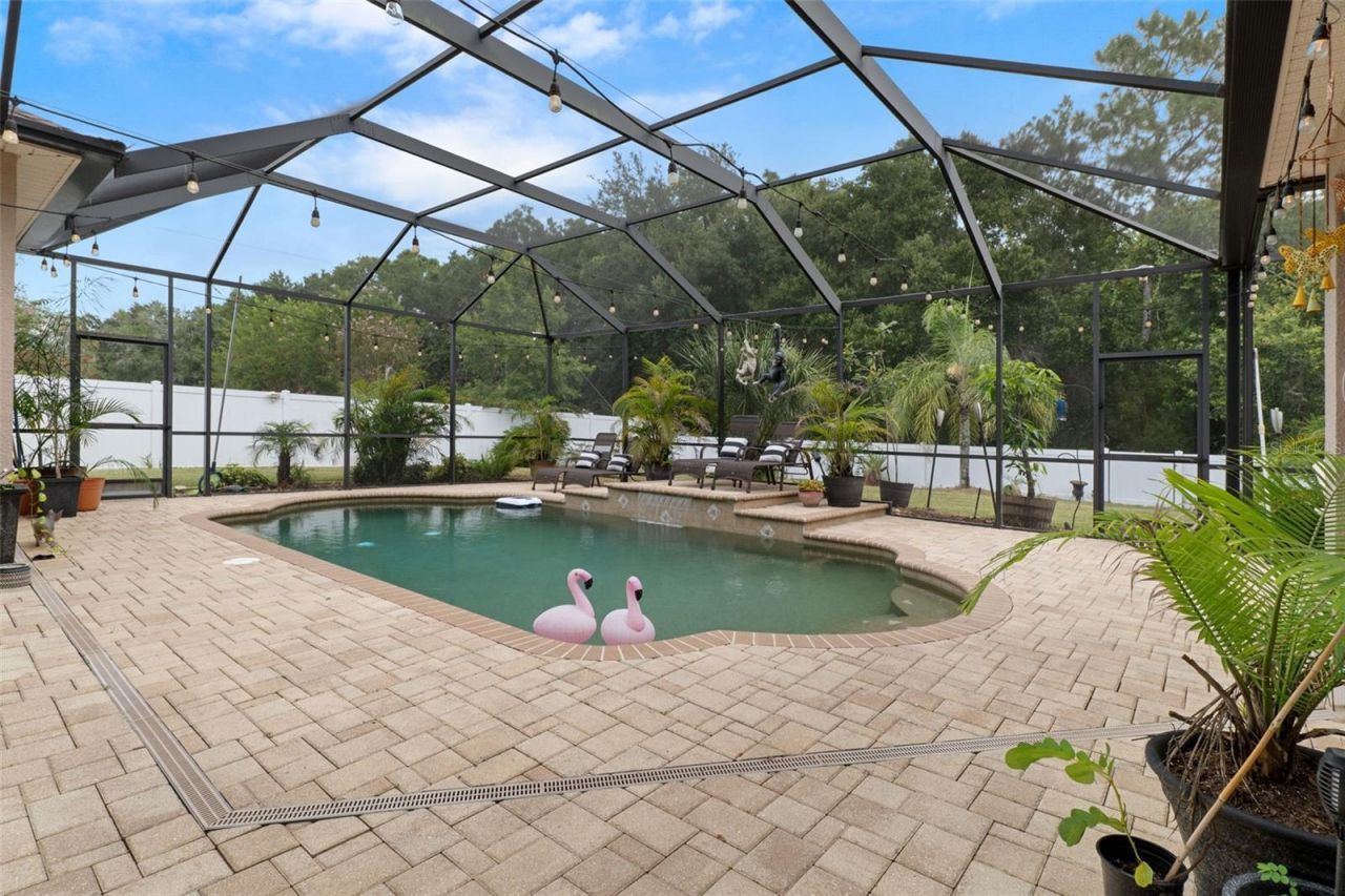 1726 Nodding Thistle Drive, New Port Richey, FL 34655 Photo