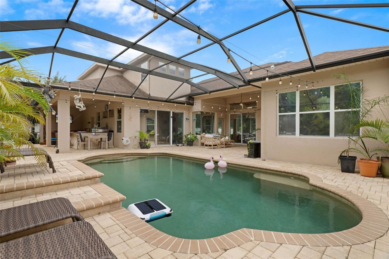 1726 Nodding Thistle Drive, New Port Richey, FL 34655 Photo