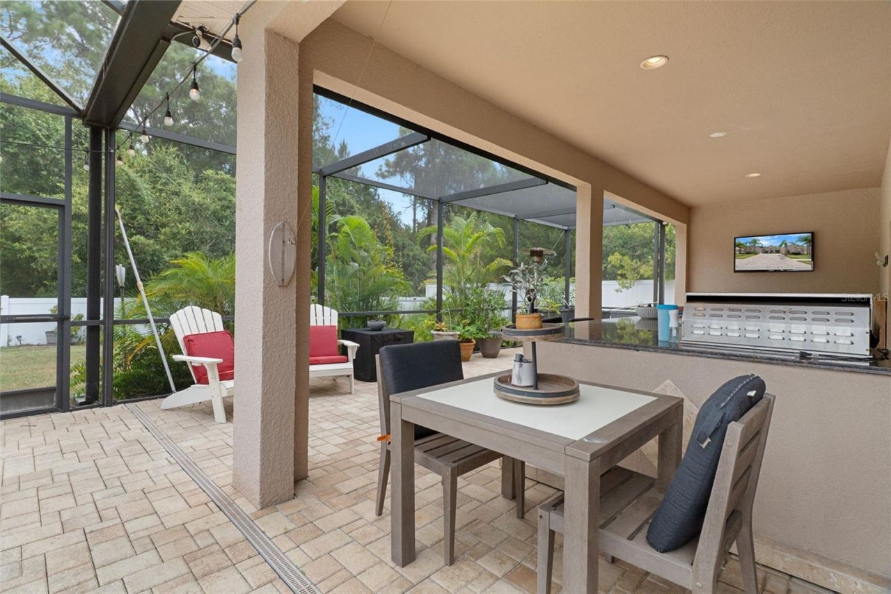 1726 Nodding Thistle Drive, New Port Richey, FL 34655 Photo