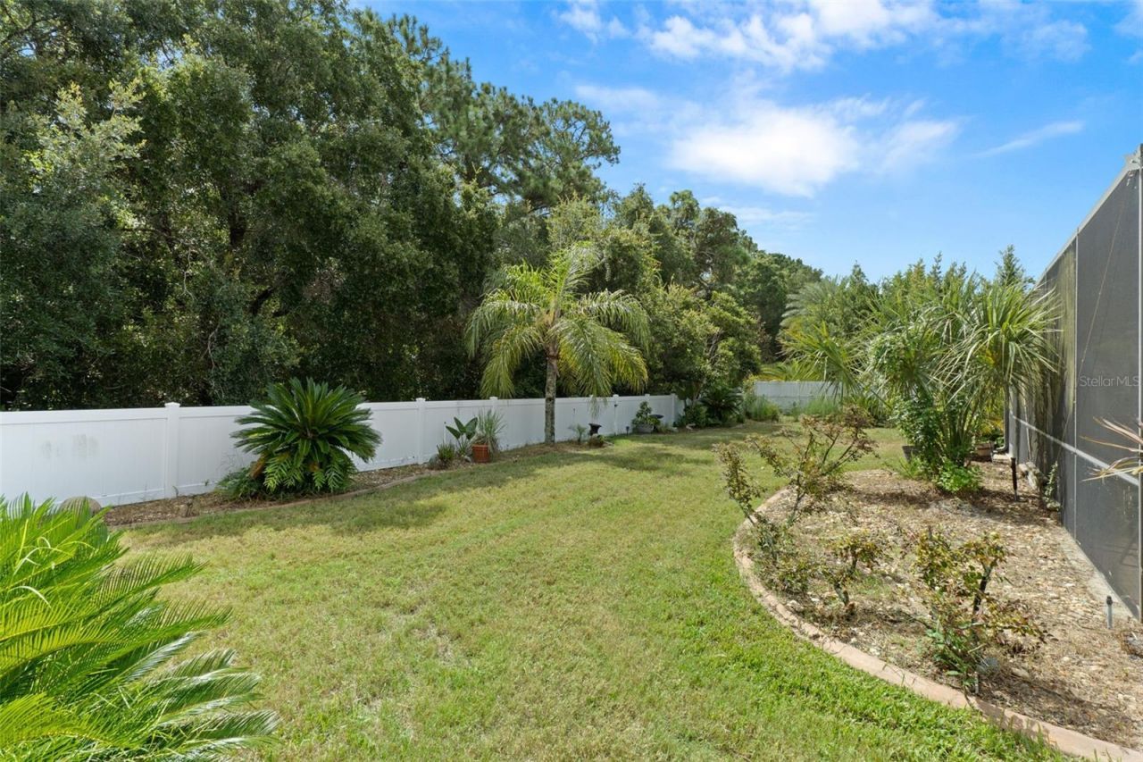 1726 Nodding Thistle Drive, New Port Richey, FL 34655 Photo