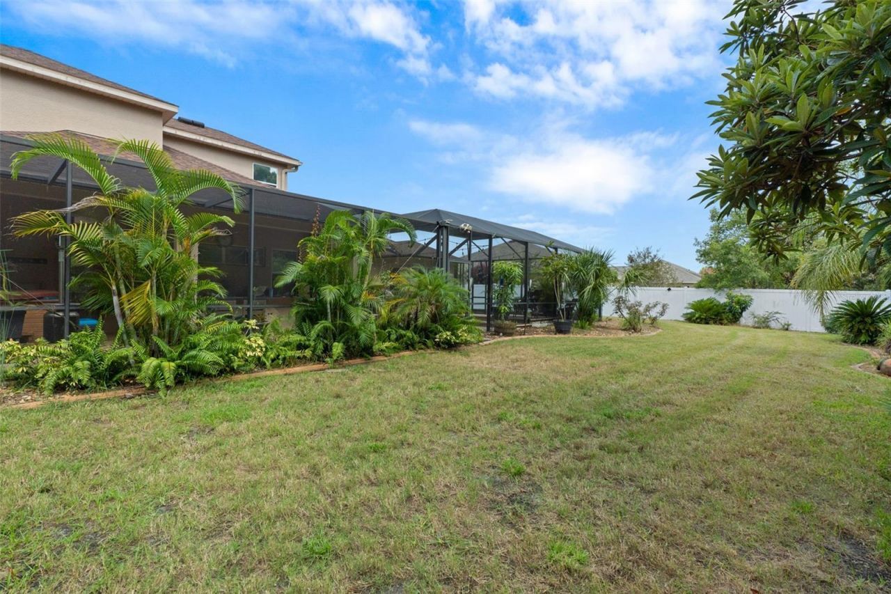 1726 Nodding Thistle Drive, New Port Richey, FL 34655 Photo
