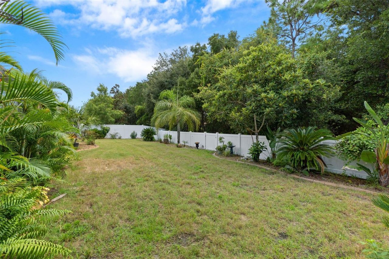 1726 Nodding Thistle Drive, New Port Richey, FL 34655 Photo