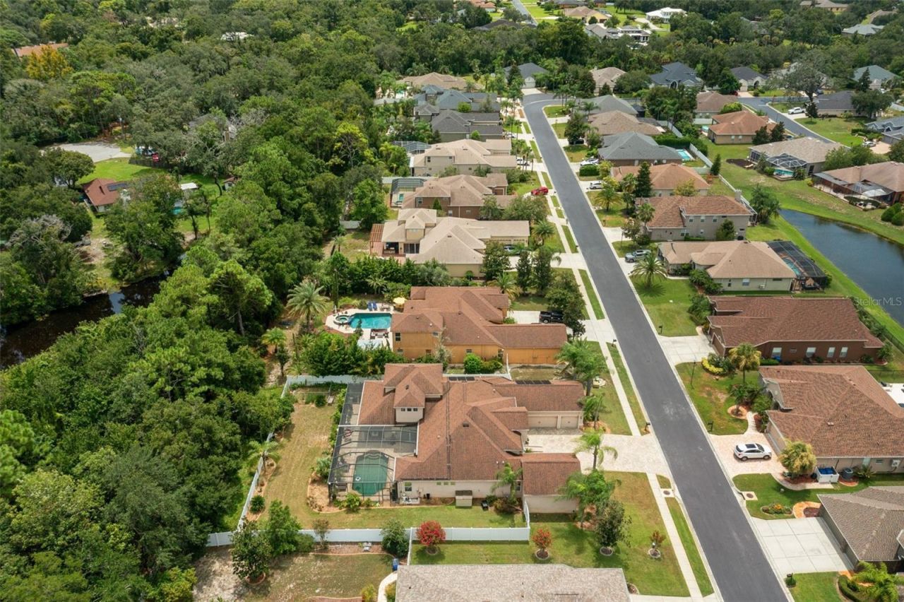 1726 Nodding Thistle Drive, New Port Richey, FL 34655 Photo