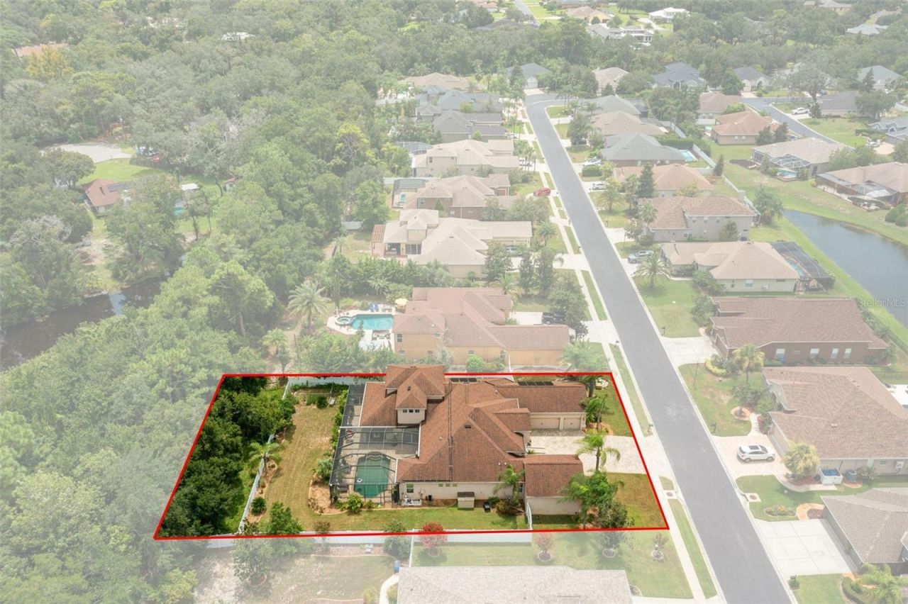 1726 Nodding Thistle Drive, New Port Richey, FL 34655 Photo