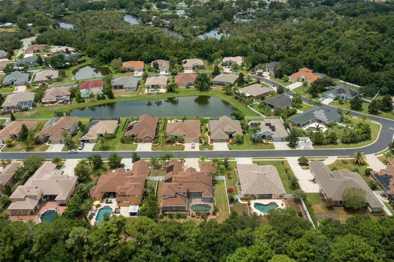 1726 Nodding Thistle Drive, New Port Richey, FL 34655 Photo