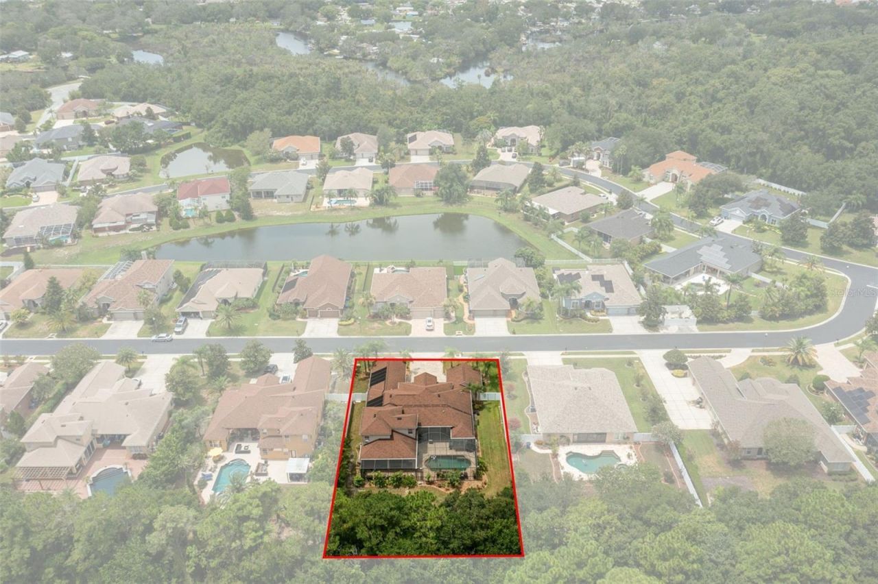 1726 Nodding Thistle Drive, New Port Richey, FL 34655 Photo