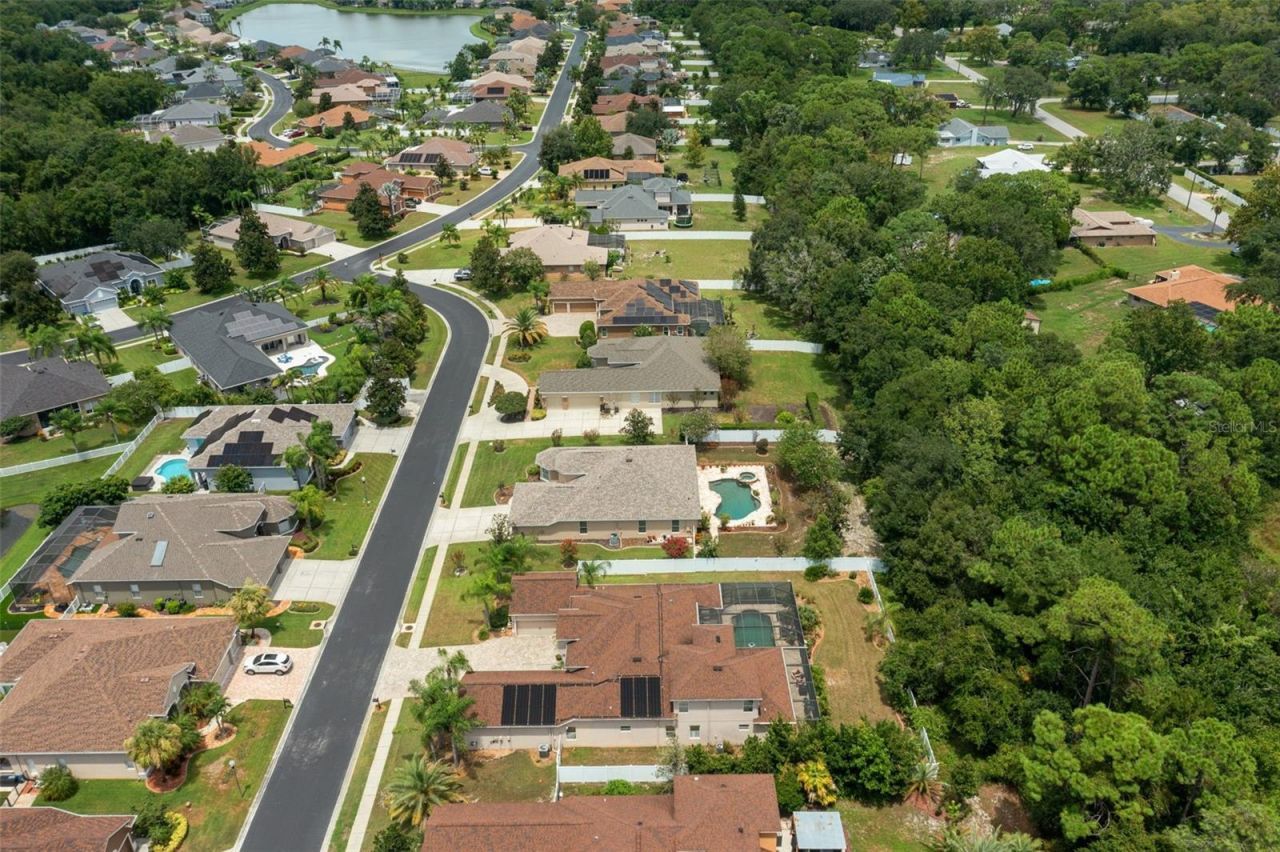 1726 Nodding Thistle Drive, New Port Richey, FL 34655 Photo