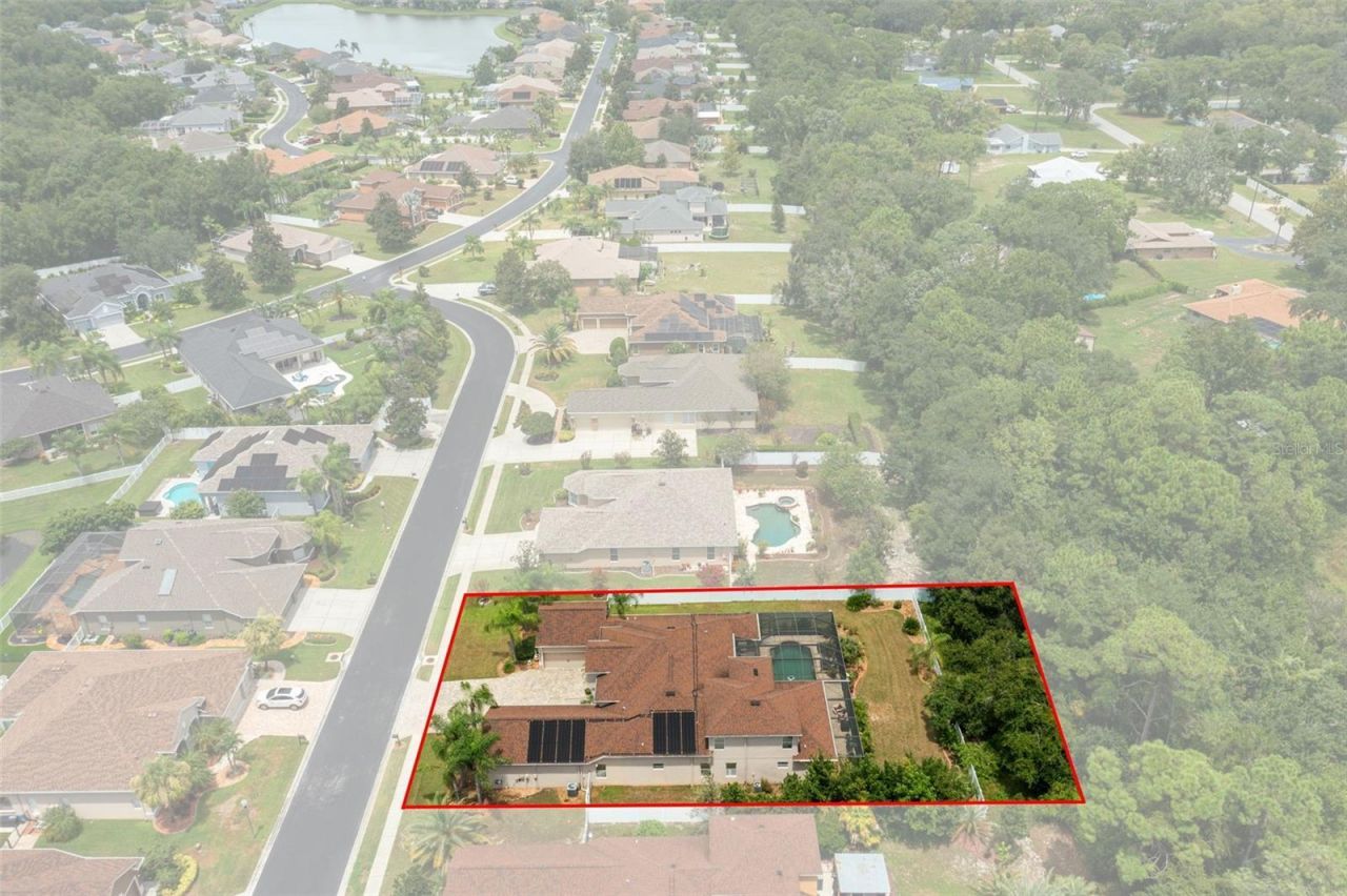 1726 Nodding Thistle Drive, New Port Richey, FL 34655 Photo