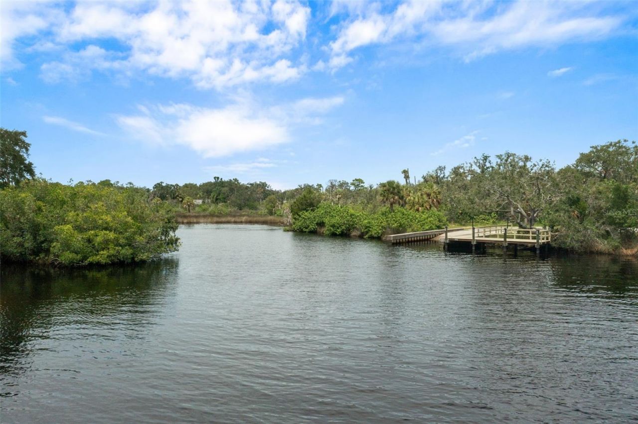 1726 Nodding Thistle Drive, New Port Richey, FL 34655 Photo