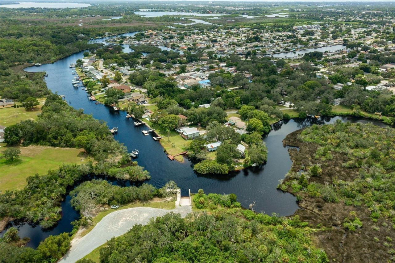1726 Nodding Thistle Drive, New Port Richey, FL 34655 Photo