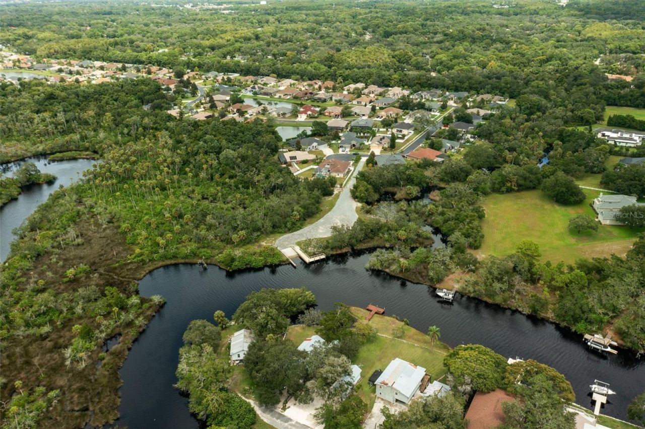 1726 Nodding Thistle Drive, New Port Richey, FL 34655 Photo